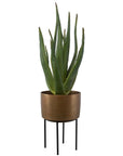 Arabia - Aloe Planter - Brown