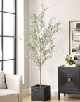 Abundance - Potted Olive Tree - Black