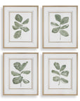 Fiddle Head - Leaf Botanical Prints (Set of 4) - Gold / Green / White