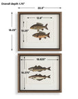 The Catch - Framed Fish Prints (Set of 2) - Black / Brown / Gray / Green / Orange / Woodtone