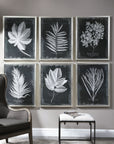 Foliage - Framed Prints (Set of 6) - Black
