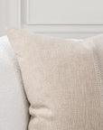 Nisha - 22" x 22" Accent Pillow - Natural / Ivory