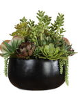 Mico - Indoor-Outdoor Succulent Centerpiece - Black,Green