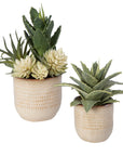Seaside Succulents (Set of 2) - Pearl Silver