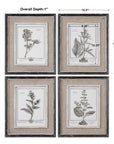 Casual Gray Study - Framed Art (Set of 4) - Beige