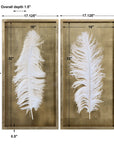 White Feathers - Shadow Box (Set of 2) - Gold