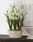 Ariana Orchid - Planter - Gray