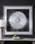 Dandelion Seedhead - Framed Print - Black