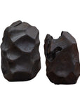 Ember Root - Teak Sculpture (Set of 2) - Black
