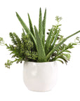 Sundown Succulent - Accent Planter - Green / White