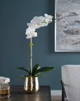Cami Orchid - Orchid With Brass Pot - White