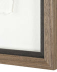 The Catch - Framed Fish Prints (Set of 2) - Black / Brown / Gray / Green / Orange / Woodtone