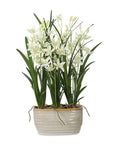 Ariana Orchid - Planter - Gray