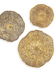 Radiance - Metal Wall Decor (Set of 3) - Gold