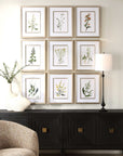 Botanical Flowers - Framed Prints (Set of 9)