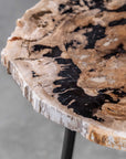 Mircea - Petrified Wood Accent Table - Black & Light Brown
