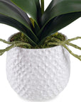 Cami - Orchid - White