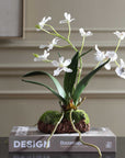 Clovis - Orchid Drop-In - White