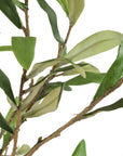 Abundance - Potted Olive Tree - Black