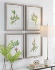 Wildflower Study - Framed Prints (Set of 4)