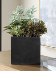 Greystone - Indoor-Outdoor Succulent - Green