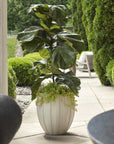 Ridgehaven - Textured Outdoor Planter - White