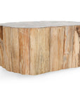 Norwest - Petrified Wood Coffee Table - Natural