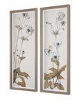 Garden - Study Framed Floral Prints (Set of 2) - Blue / Brown / Green / White