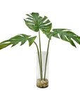 Ibero - Split Leaf Palm - Green