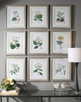 Antique - Botanicals Framed Prints (Set of 9)