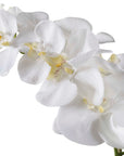 Cami - Orchid - White