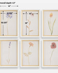 Wild Flourish - Framed Floral Prints (Set of 6) - Light Brown