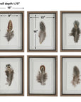 Birds Of A Feather - Framed Prints (Set of 6)