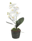 Laris - Orchid Drop-In - White