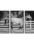 Galloping - Forward Equine Prints (Set of 3)