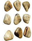 Pebbles - Blonde Wood Wall Décor (Set of 9) - Light Brown
