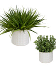 Edgewood - Greenery (Set of 2) - Pearl Silver