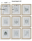 Nature's - Script Framed Botanical Prints (Set of 9) - Gold / Green / White