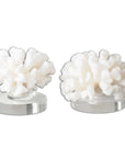 Hard Coral - Sculptures (Set of 2) - White