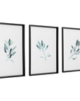 Simple Sage - Watercolor Prints (Set of 3) - White
