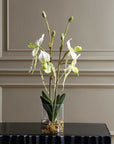 Lady - Slipper Orchid In Glass Vase - Green,White