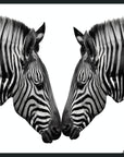 Zebras - 48" x 72" Photography - Black / White