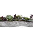 Charita - Lush Succulents - Pearl Silver