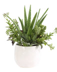 Sundown Succulent - Accent Planter - Green / White