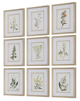 Botanical Flowers - Framed Prints (Set of 9)