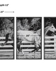 Galloping - Forward Equine Prints (Set of 3)