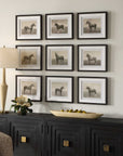 Equine Dynasty - Framed Prints (Set of 9)