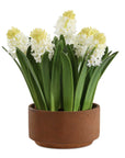 Sincerity - Potted Hyacinth Plant - Green