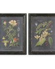 Midnight Botanicals - Wall Art (Set of 2) - Black