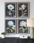 Florals On Black - Framed Prints (Set of 4) - Black